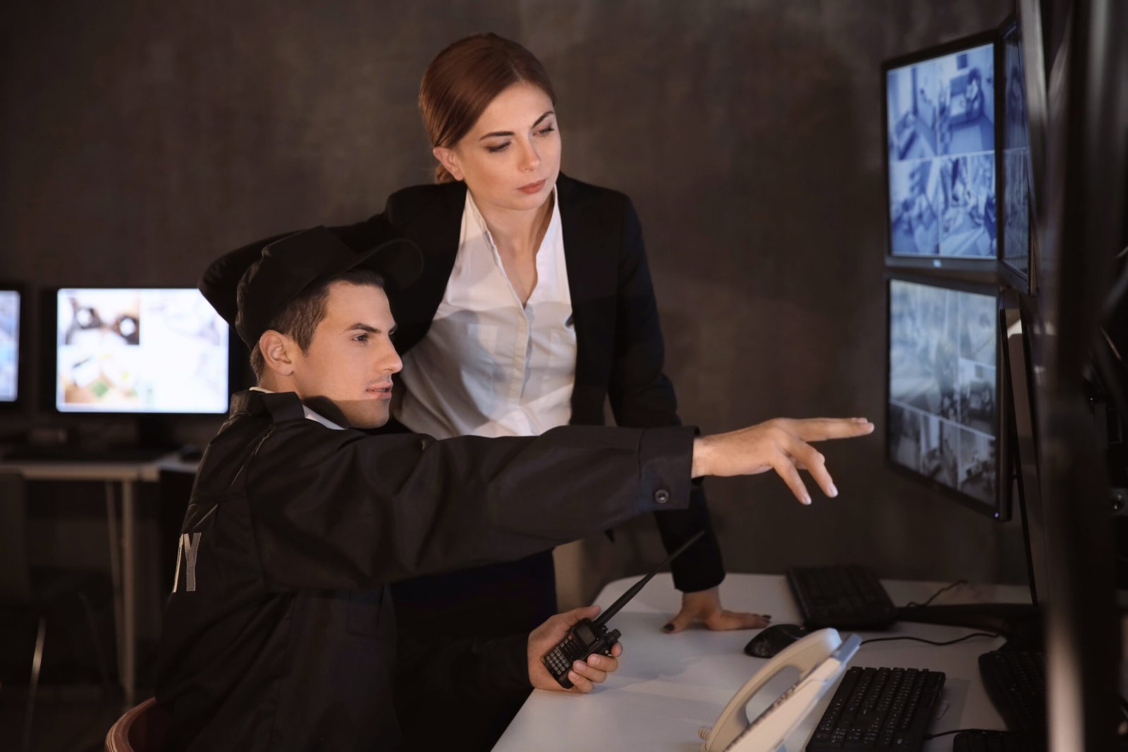 Investigation and Detection of Image Theft